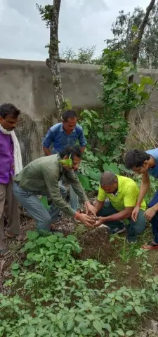 Tree Plantation 2019 – Rajim