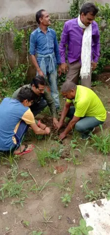 Tree Plantation 2019 – Rajim