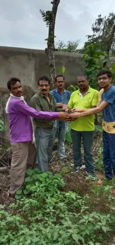 Tree Plantation 2019 – Rajim