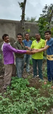 Tree Plantation 2019 – Rajim