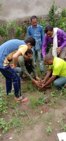 Tree Plantation 2019 – Rajim