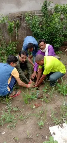 Tree Plantation 2019 – Rajim