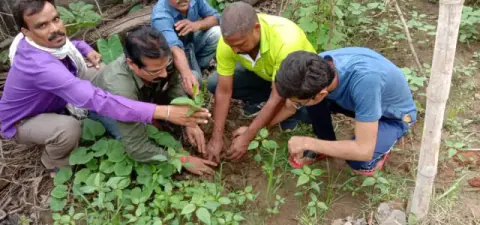 Tree Plantation 2019 – Rajim