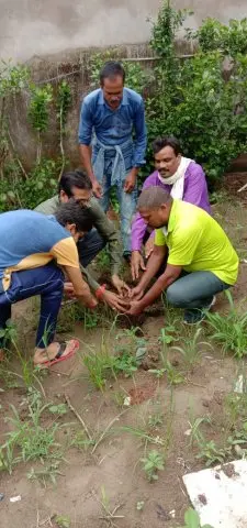 Tree Plantation 2019 – Rajim