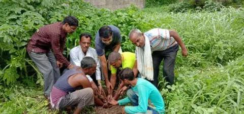 Tree Plantation 2019 – Rajim