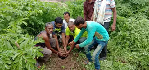 Tree Plantation 2019 – Rajim