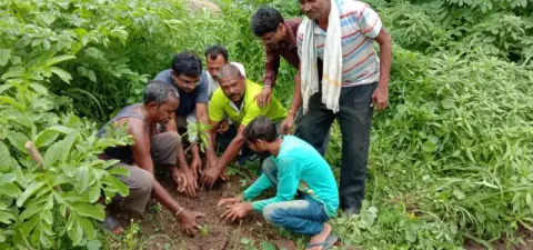 Tree Plantation 2019 – Rajim