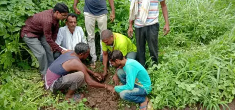Tree Plantation 2019 – Rajim