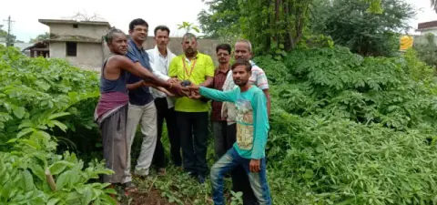 Tree Plantation 2019 – Rajim