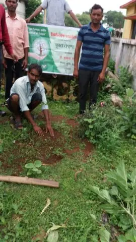 Tree Plantation 2019 – Rajnandgaon
