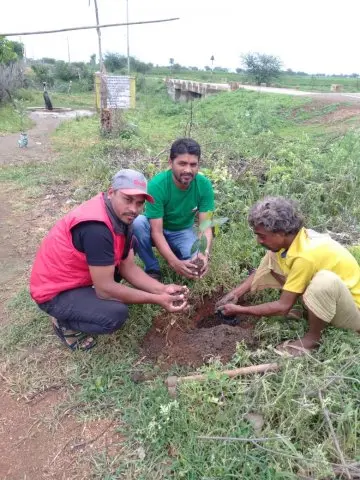 Tree Plantation 2019 – Rajnandgaon