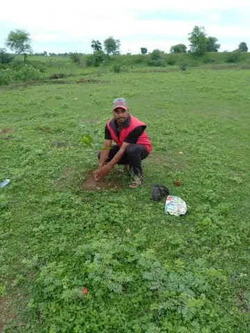 Tree Plantation 2019 – Rajnandgaon
