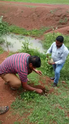 Tree Plantation 2019 – Sakti