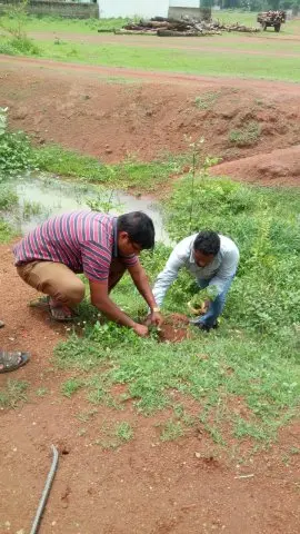 Tree Plantation 2019 – Sakti