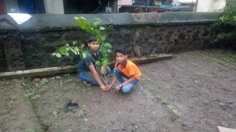 Tree Plantation 2019 – Sangli