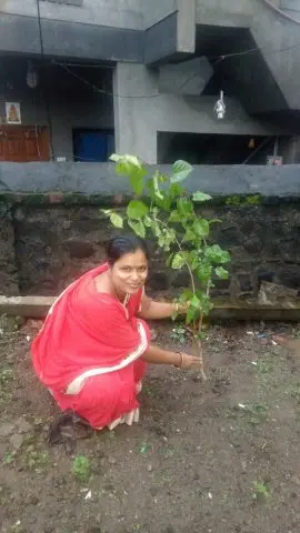 Tree Plantation 2019 – Sangli