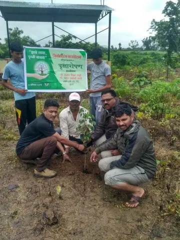 Tree Plantation 2019 – Sangli
