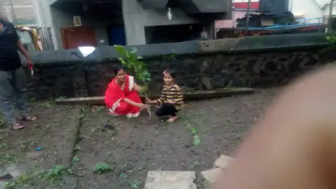 Tree Plantation 2019 – Sangli