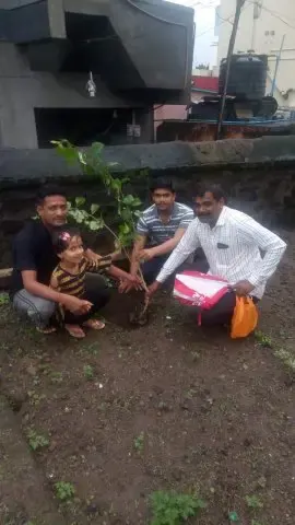 Tree Plantation 2019 – Sangli