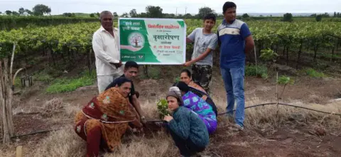 Tree Plantation 2019 – Sangli