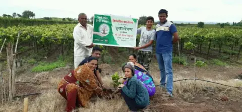 Tree Plantation 2019 – Sangli