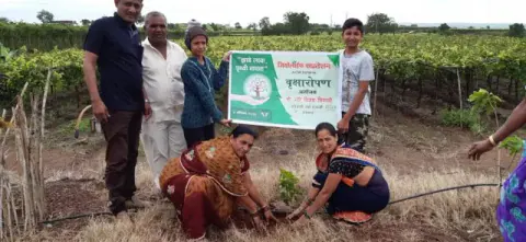 Tree Plantation 2019 – Sangli