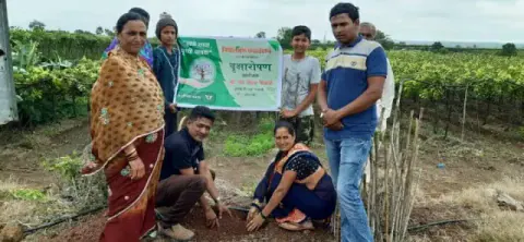 Tree Plantation 2019 – Sangli