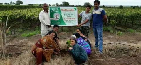 Tree Plantation 2019 – Sangli