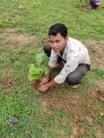 Tree Plantation 2019 – Sariya
