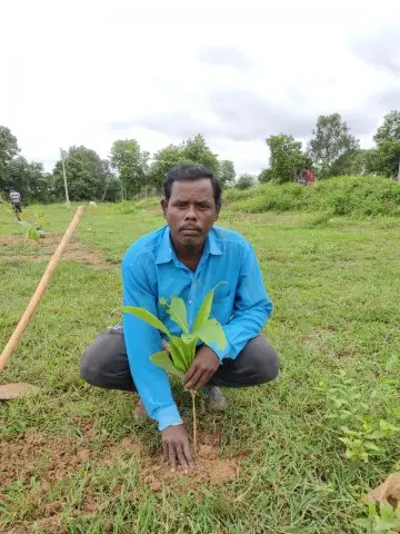 Tree Plantation 2019 – Sariya