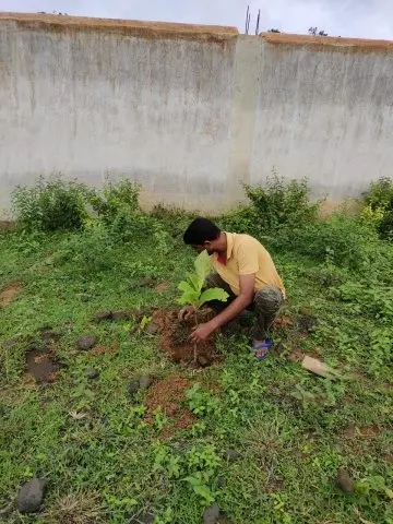 Tree Plantation 2019 – Sariya