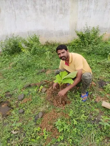 Tree Plantation 2019 – Sariya