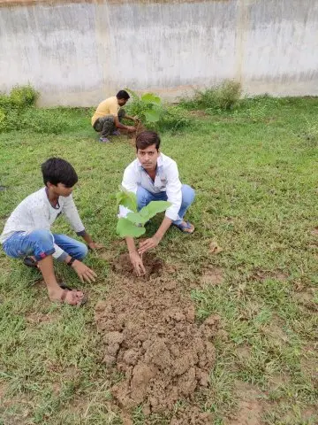 Tree Plantation 2019 – Sariya