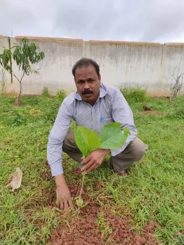 Tree Plantation 2019 – Sariya