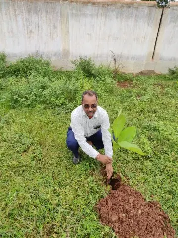 Tree Plantation 2019 – Sariya