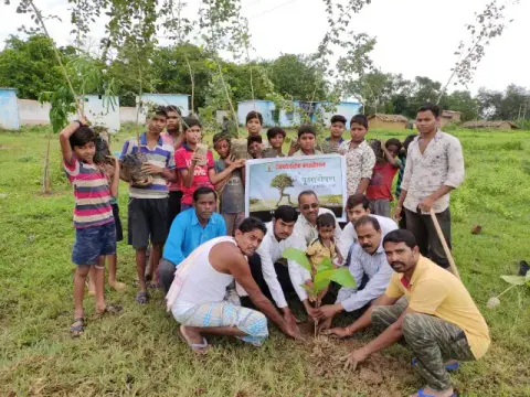 Tree Plantation 2019 – Sariya