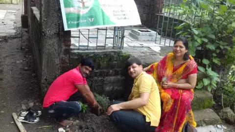Tree Plantation 2019 – Shujalpur