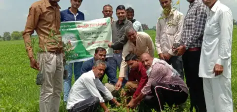 Tree Plantation 2019 – Shujalpur