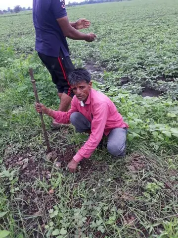 Tree Plantation 2019 – Shujalpur