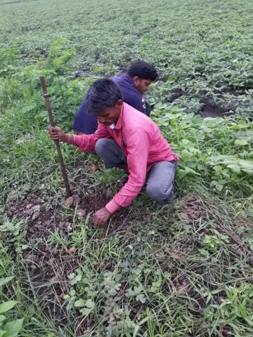 Tree Plantation 2019 – Shujalpur