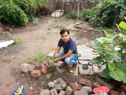 Tree Plantation 2019 – Shujalpur