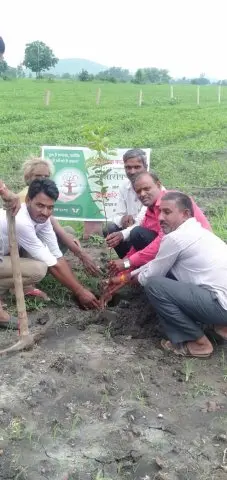 Tree Plantation 2019 – Shujalpur