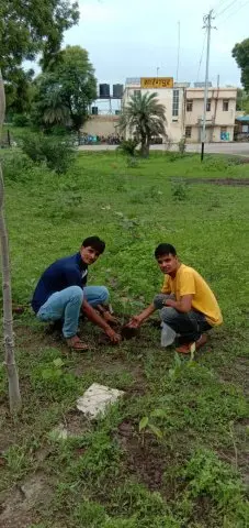 Tree Plantation 2019 – Shujalpur