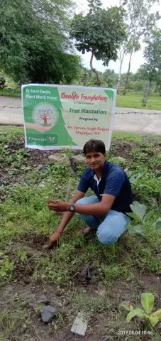 Tree Plantation 2019 – Shujalpur