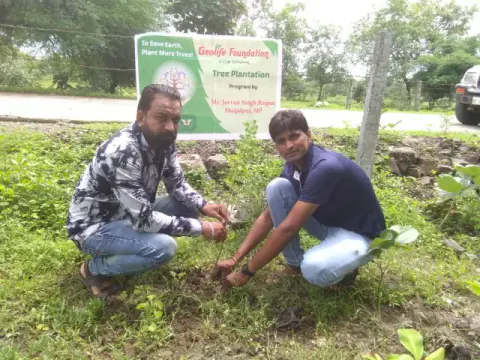 Tree Plantation 2019 – Shujalpur