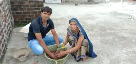 Tree Plantation 2019 – Shujalpur