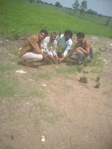 Tree Plantation 2019 – Shujalpur