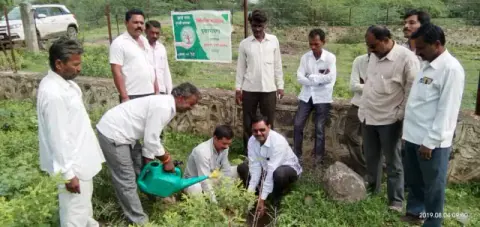 Tree Plantation 2019 – Solapur