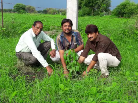 Tree Plantation 2019 – Ujjain