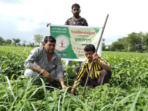 Tree Plantation 2019 – Ujjain